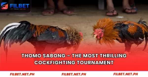 Thomo Sabong